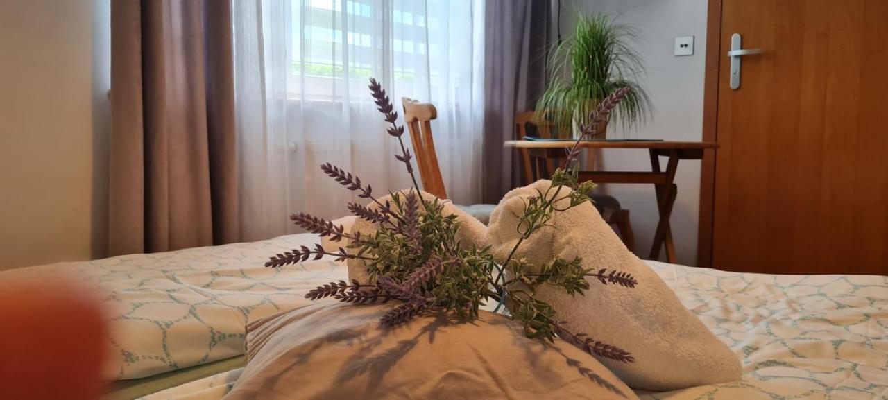 Willa Ewa Łeba Buitenkant foto